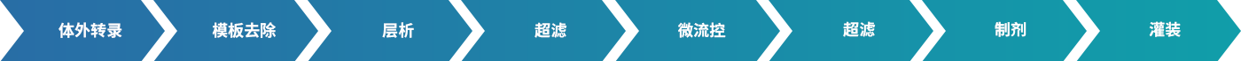121212png.png